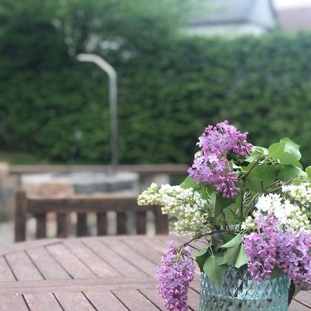 Ferienhaus Eifel Charlotte 크로넨버그 외부 사진