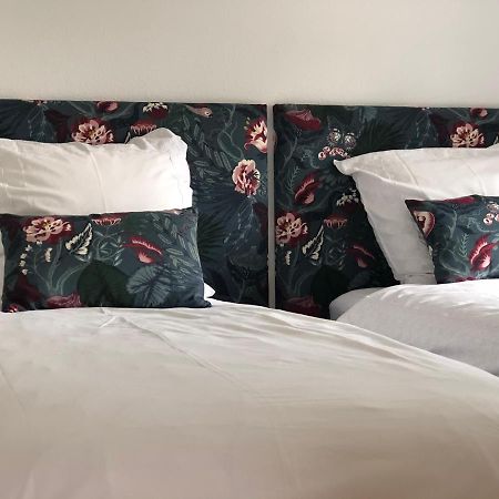 Ferienhaus Eifel Charlotte 크로넨버그 외부 사진
